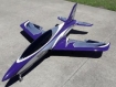 purple scheme