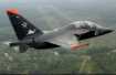 Yak 2
