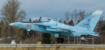 Yak 6