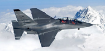 Yak 7